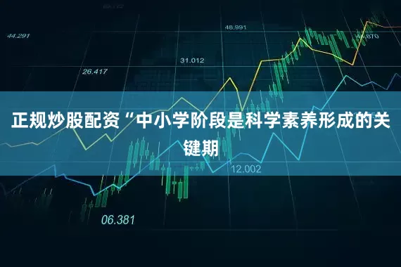 正规炒股配资“中小学阶段是科学素养形成的关键期