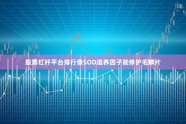股票杠杆平台排行像SOD滋养因子能修护毛鳞片